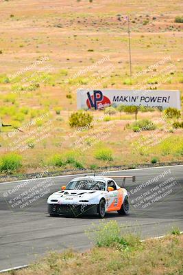 media/May-05-2024-Lucky Dog Racing (Sun) [[8a365fce5b]]/1030am-Turn 3/